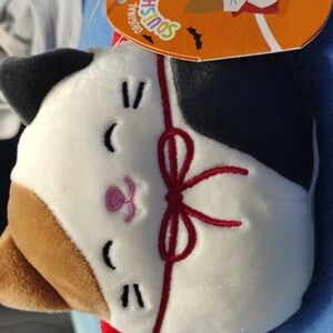 Squishmallow Cam The Vampire Cat Halloween Plush New 5”